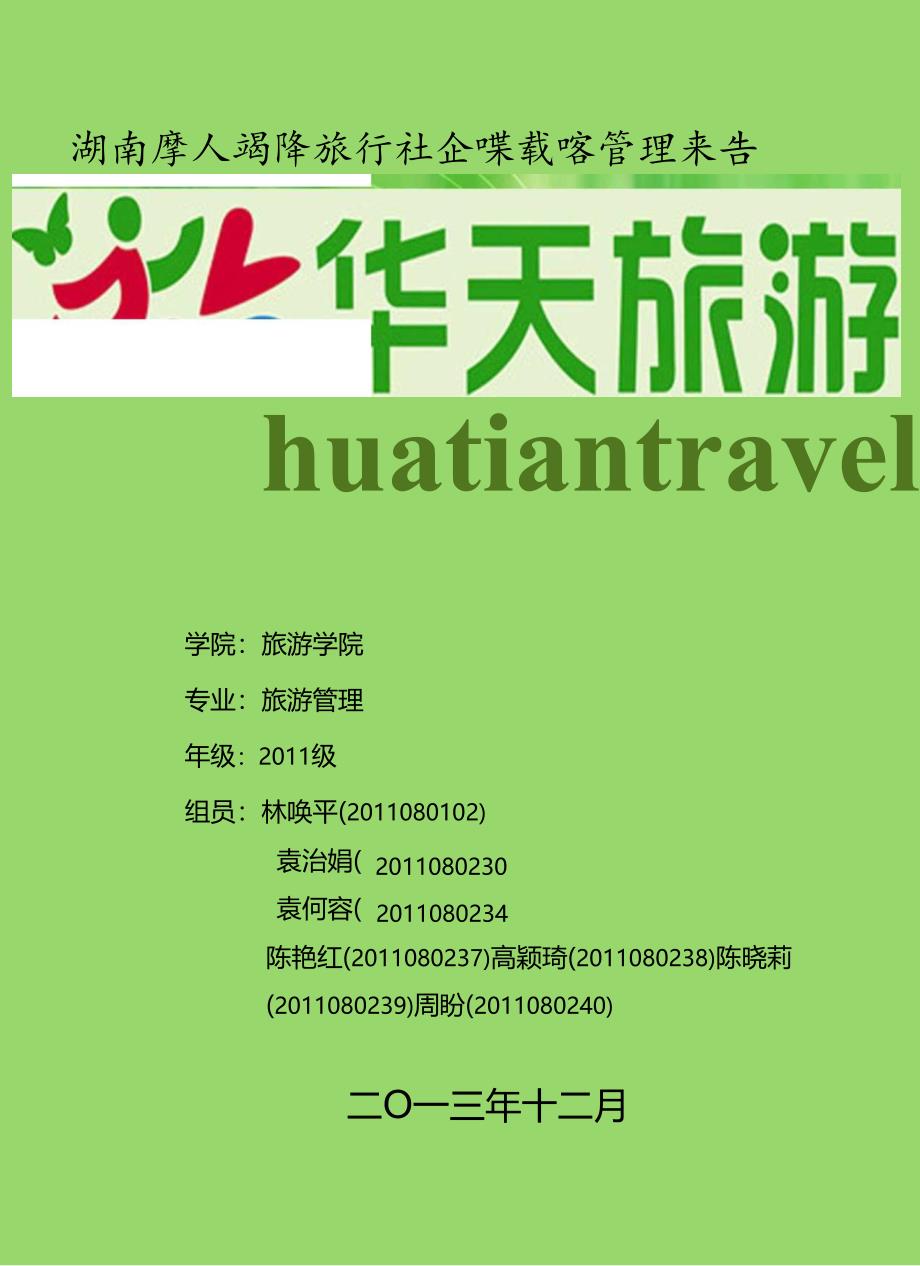 湖南华天国际旅行社企业战略管理报告.docx_第1页