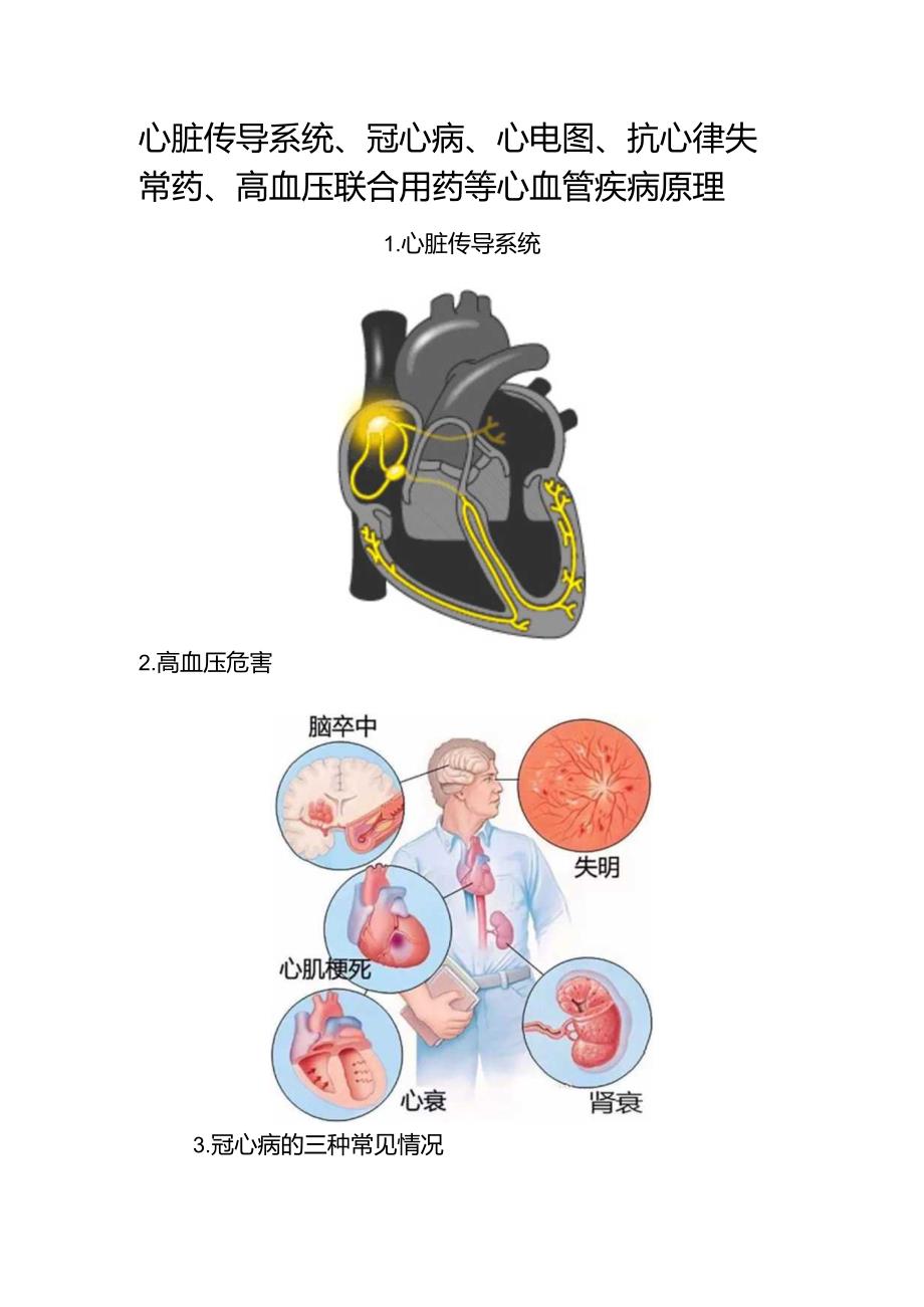 心脏传导系统、冠心病、心电图、抗心律失常药、高血压联合用药等心血管疾病原理.docx_第1页