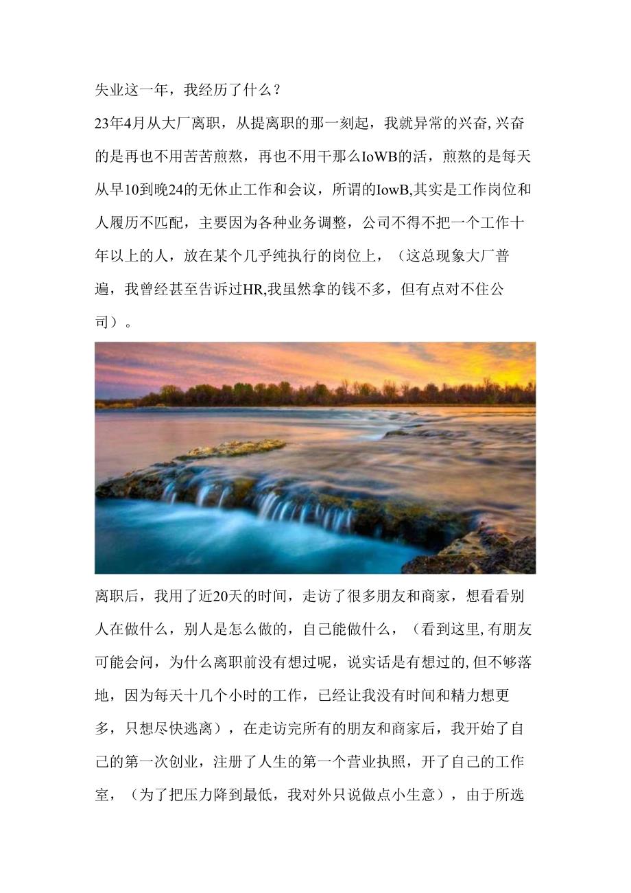 失业这一年我经历了什么？.docx_第1页