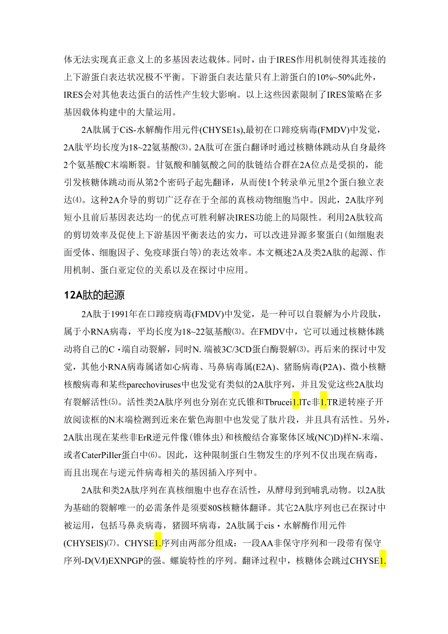 2A肽载体.docx_第2页