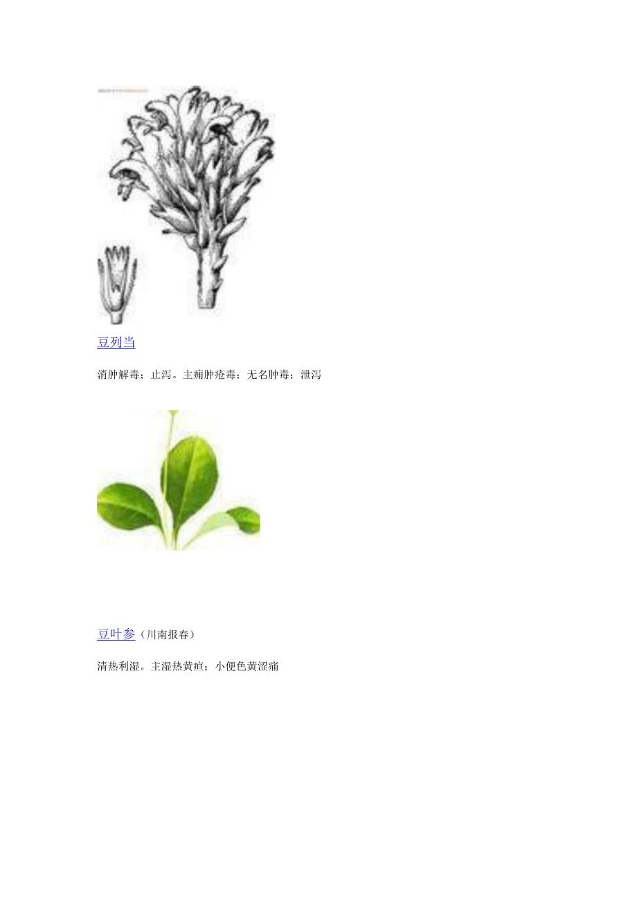 3000种中医药材第501-600种.docx_第1页