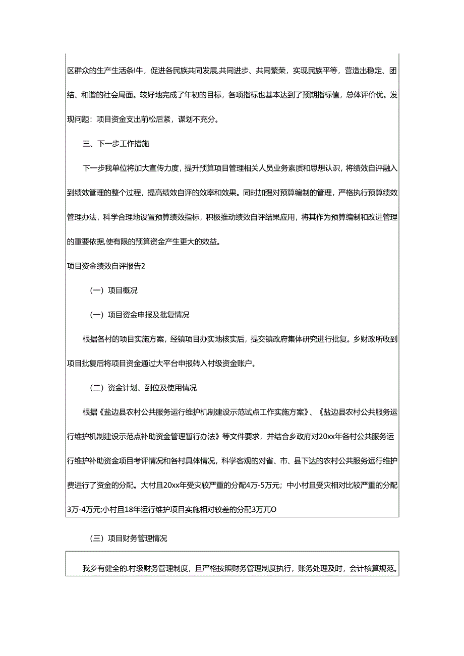 2024年项目资金绩效自评报告.docx_第2页