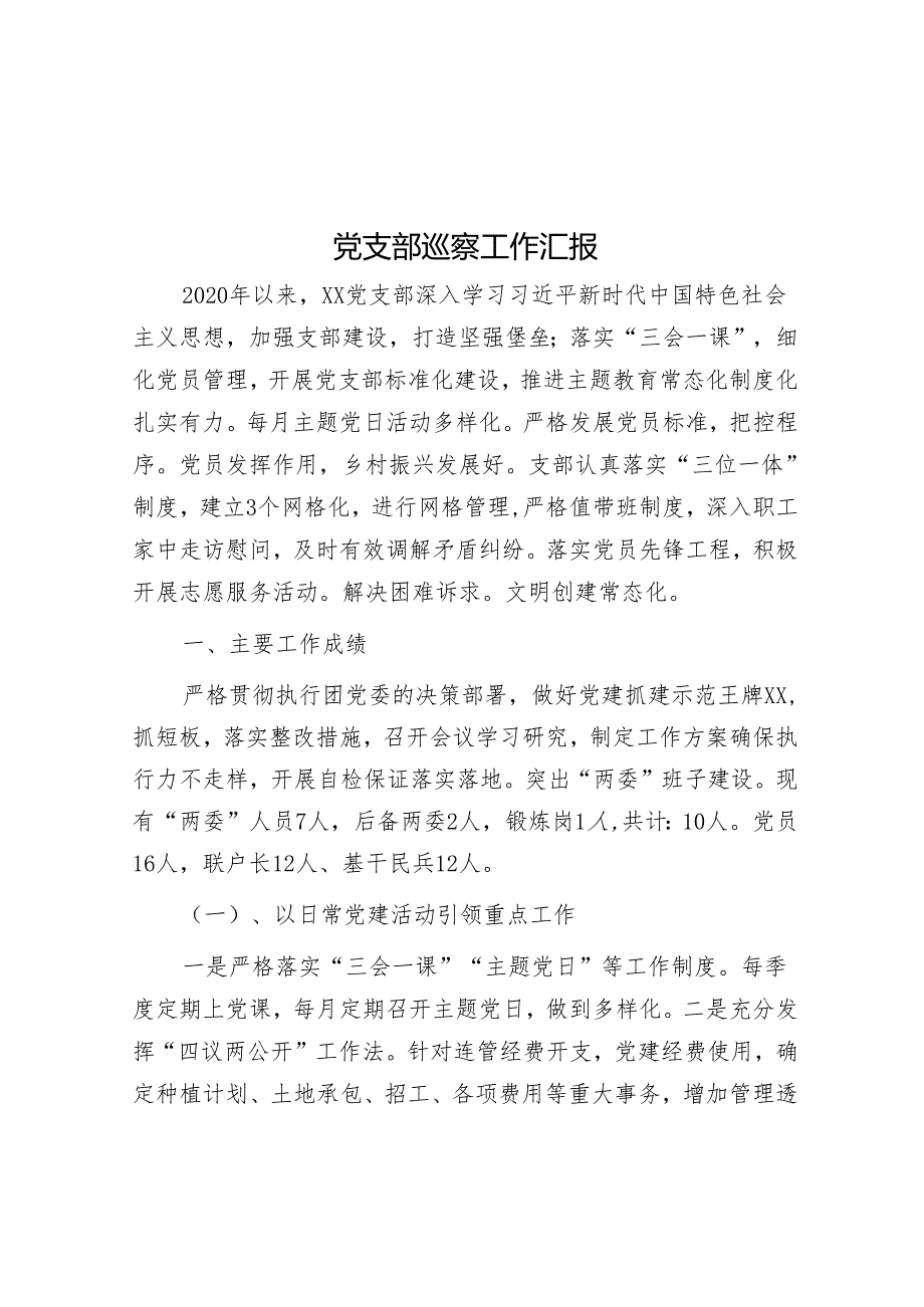 党支部巡察工作汇报&市委书记关于巡视巡察工作交流发言材料.docx_第1页