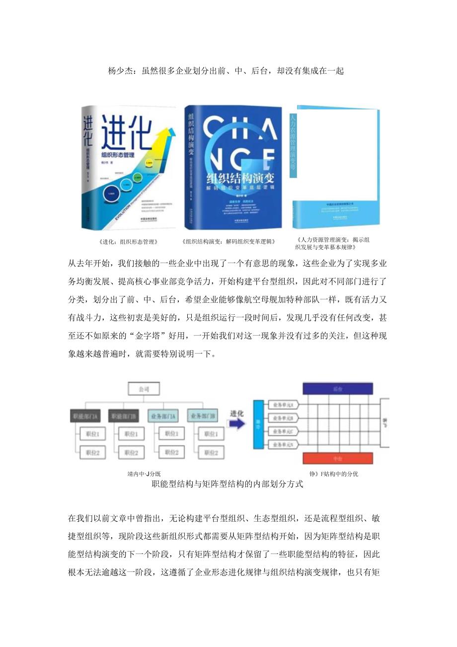 杨少杰：虽然很多企业划分出前、中、后台却没有集成在一起.docx_第1页