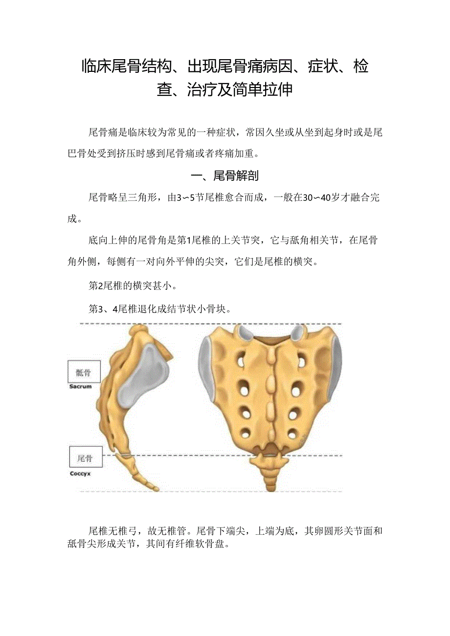 临床尾骨结构、出现尾骨痛病因、症状、检查、治疗及简单拉伸.docx_第1页