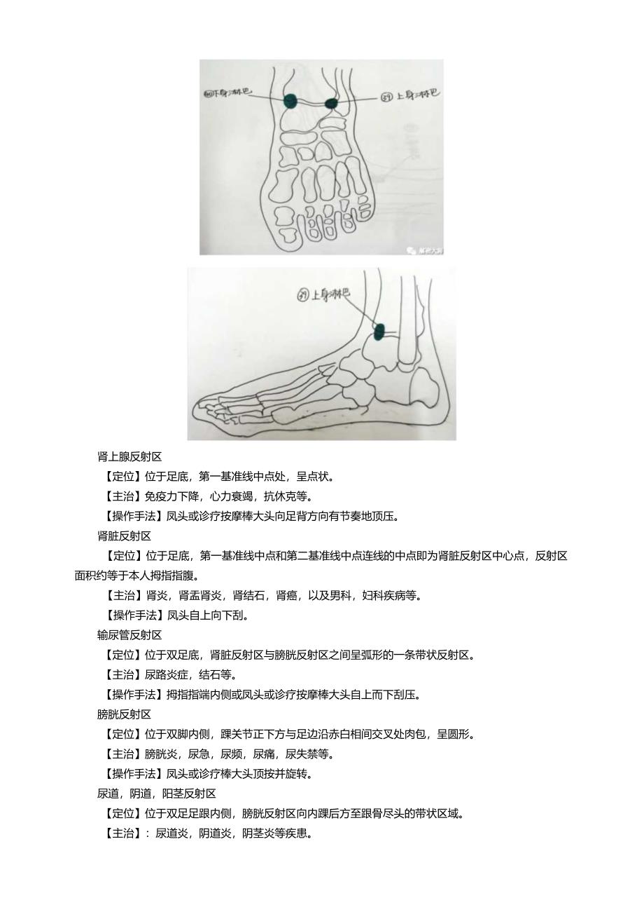 6-附件二 如何快速学会足反射疗法.docx_第2页