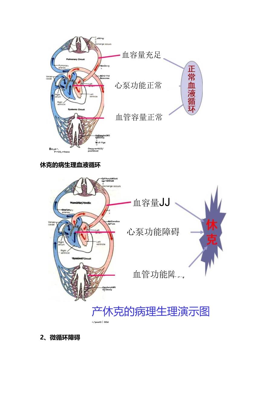 2024创伤失血性休克诊治（附图表）.docx_第3页