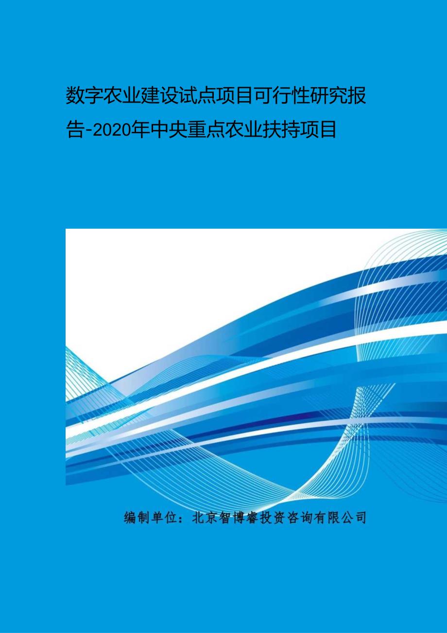 2020年中央重点农业扶持项目-数字农业建设试点项目可行性研究报告.docx_第1页