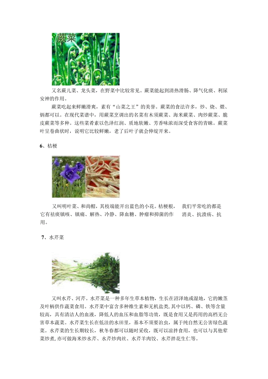 28种常见野菜图.docx_第3页