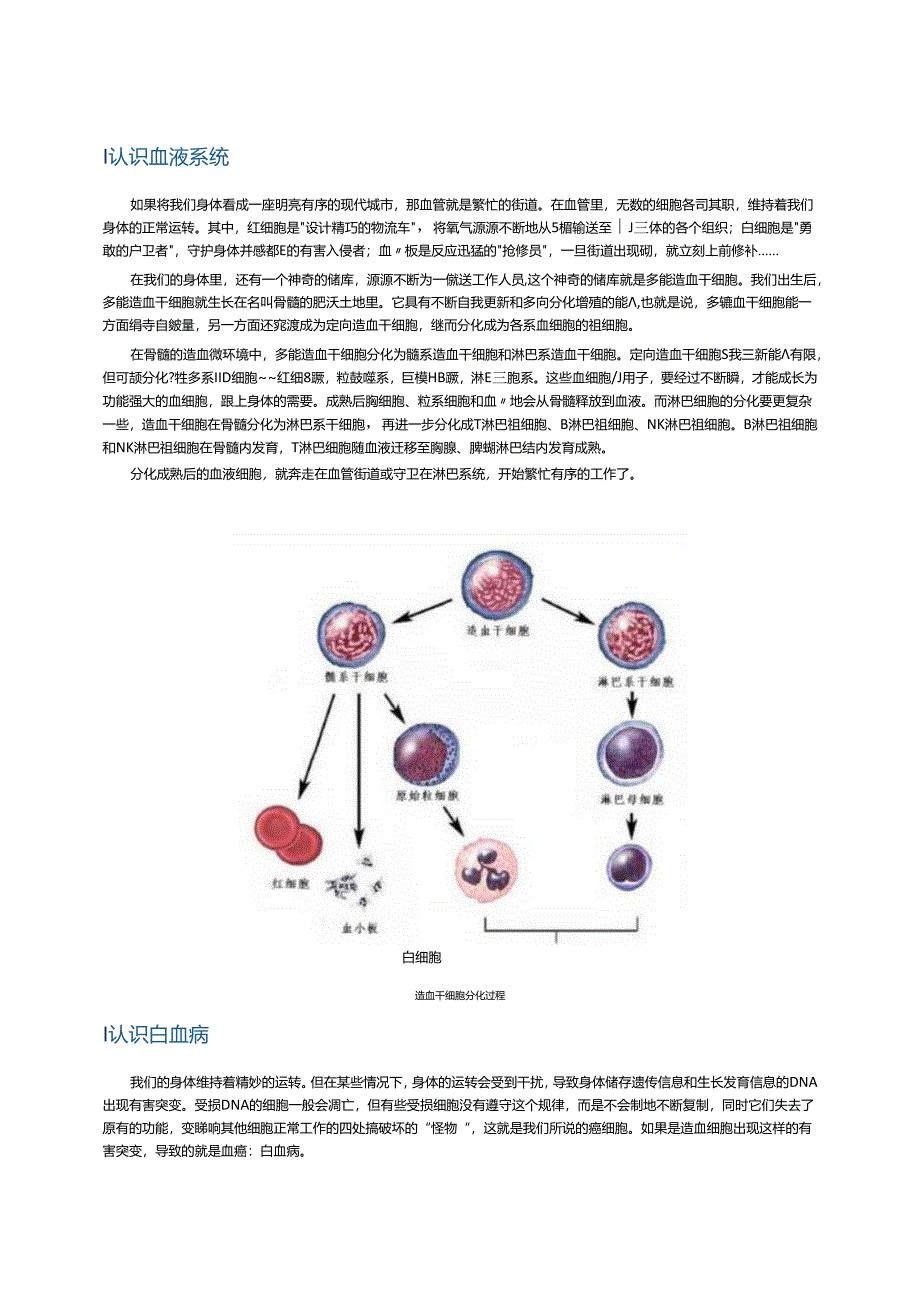 中国慢性粒细胞白血病患者报告白皮书.docx_第2页