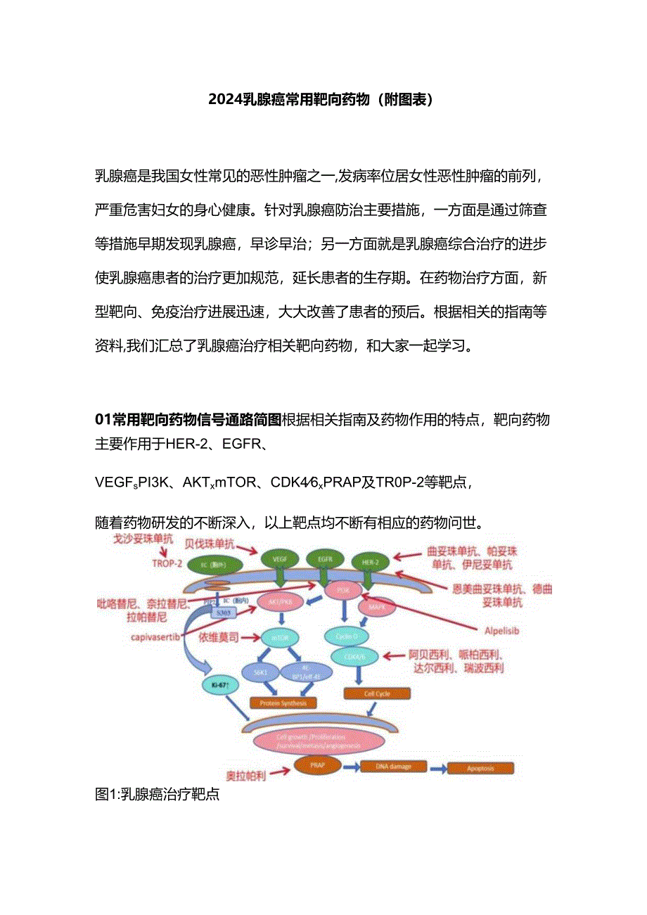 2024乳腺癌常用靶向药物（附图表）.docx_第1页