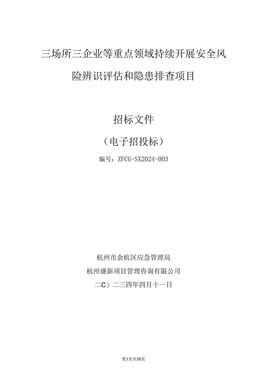 重点领域持续开展安全风险辨识评估和隐患排查项目招标文件.docx_第1页