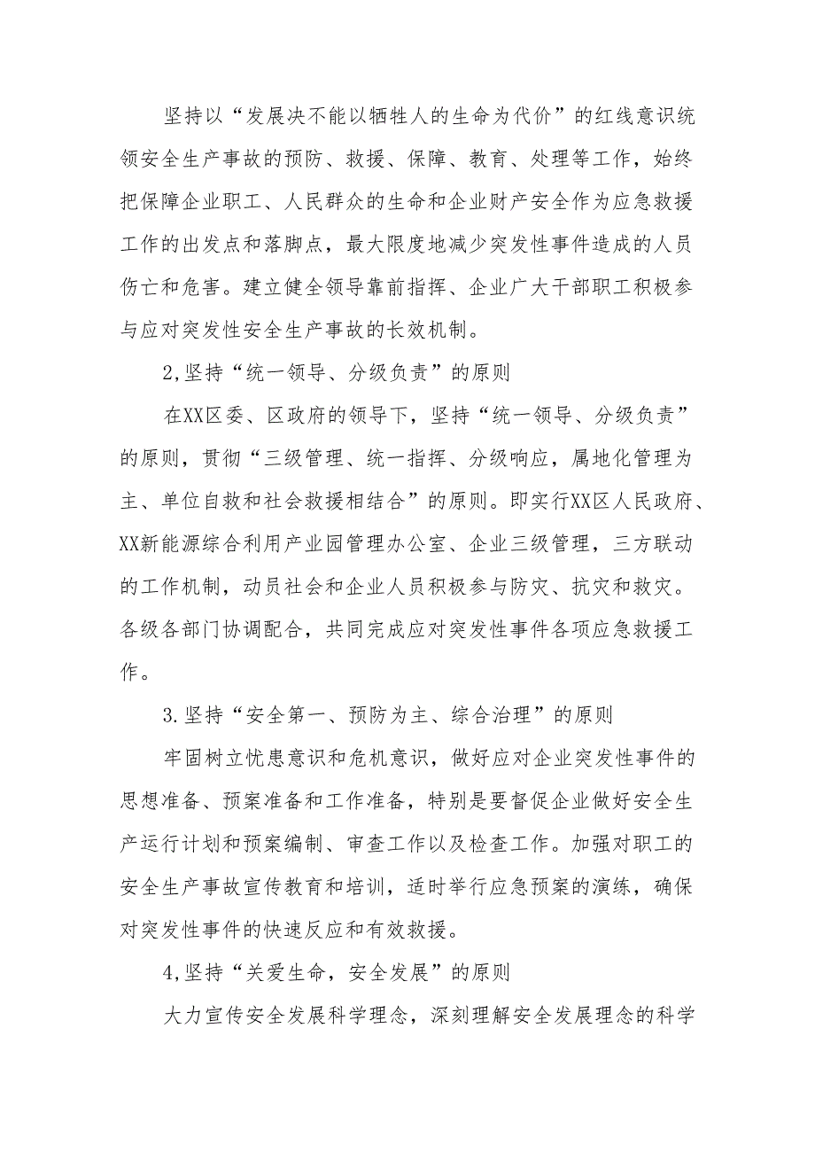 新能源综合利用产业园管理办公室能源行业突发事件总体应急预案.docx_第2页