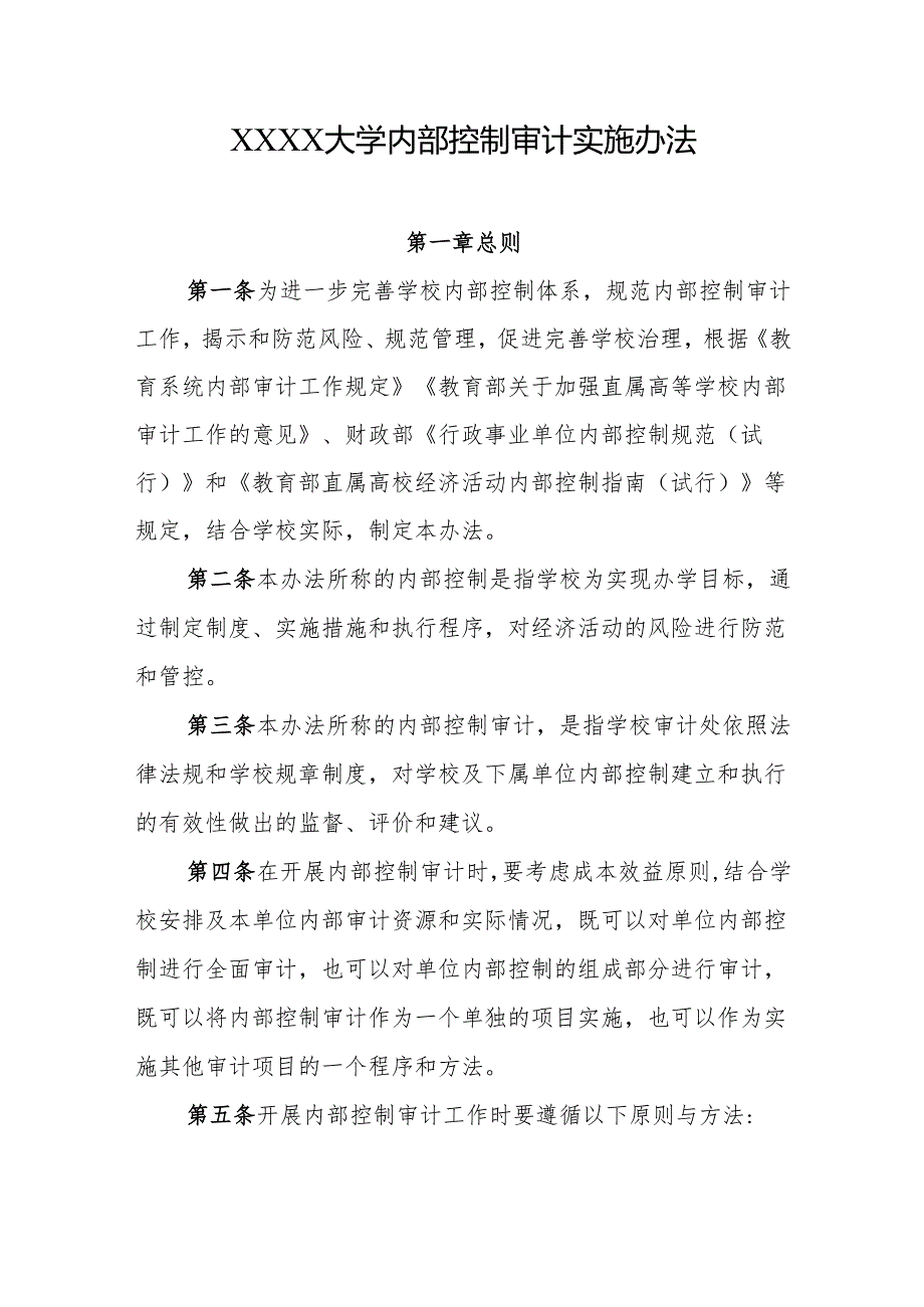 大学内部控制审计实施办法.docx_第1页