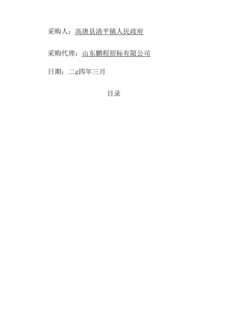 沈庄村省级和美乡村建设项目第二期工程竞争性磋商文件.docx_第2页