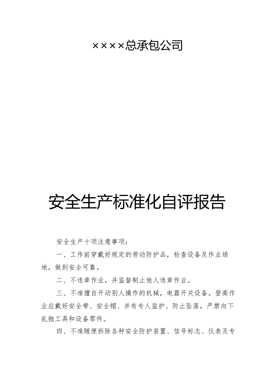 安全标准化自评报告.docx_第3页