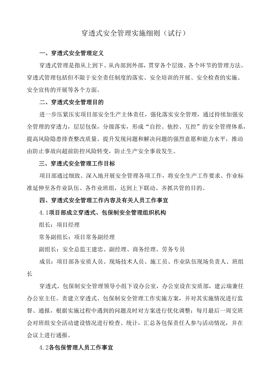 项目部穿透式安全管理实施细则（试运行）.docx_第1页