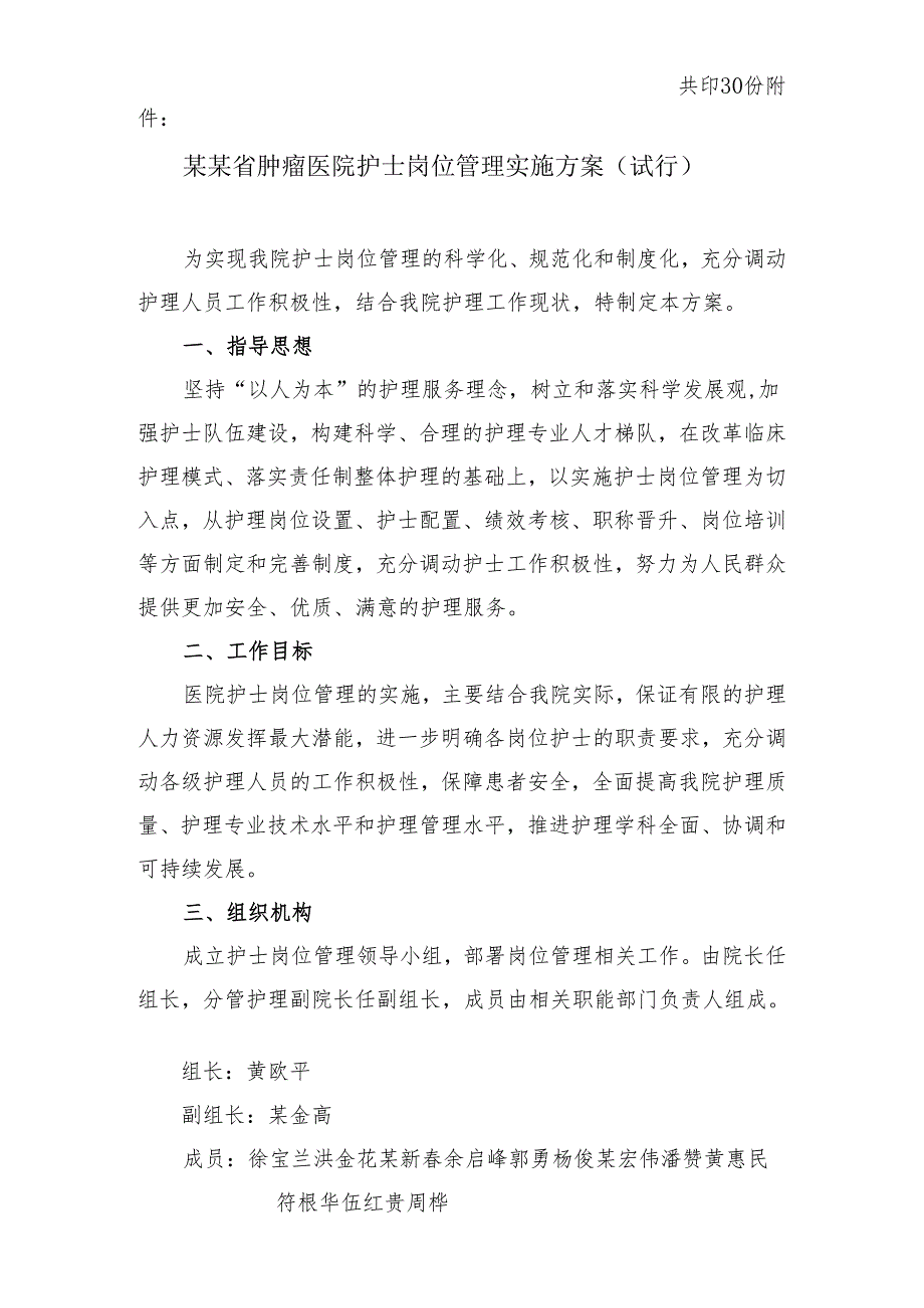 护士岗位管理实施方案（试行）.docx_第2页