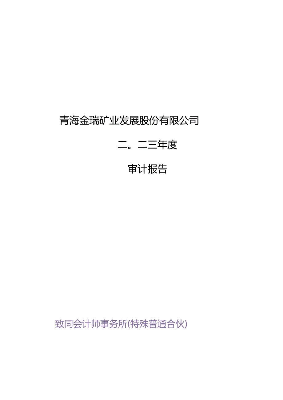 青海金瑞矿业发展股份有限公司2023年度财务报表审计报告.docx_第1页