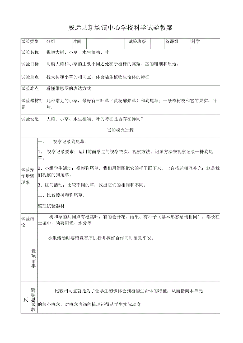 01、观察大树小草水生植物和叶.docx_第1页