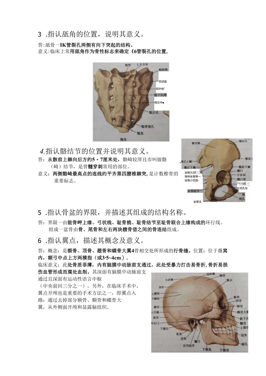甘肃医学院解剖标本考试（含答案）.docx_第2页