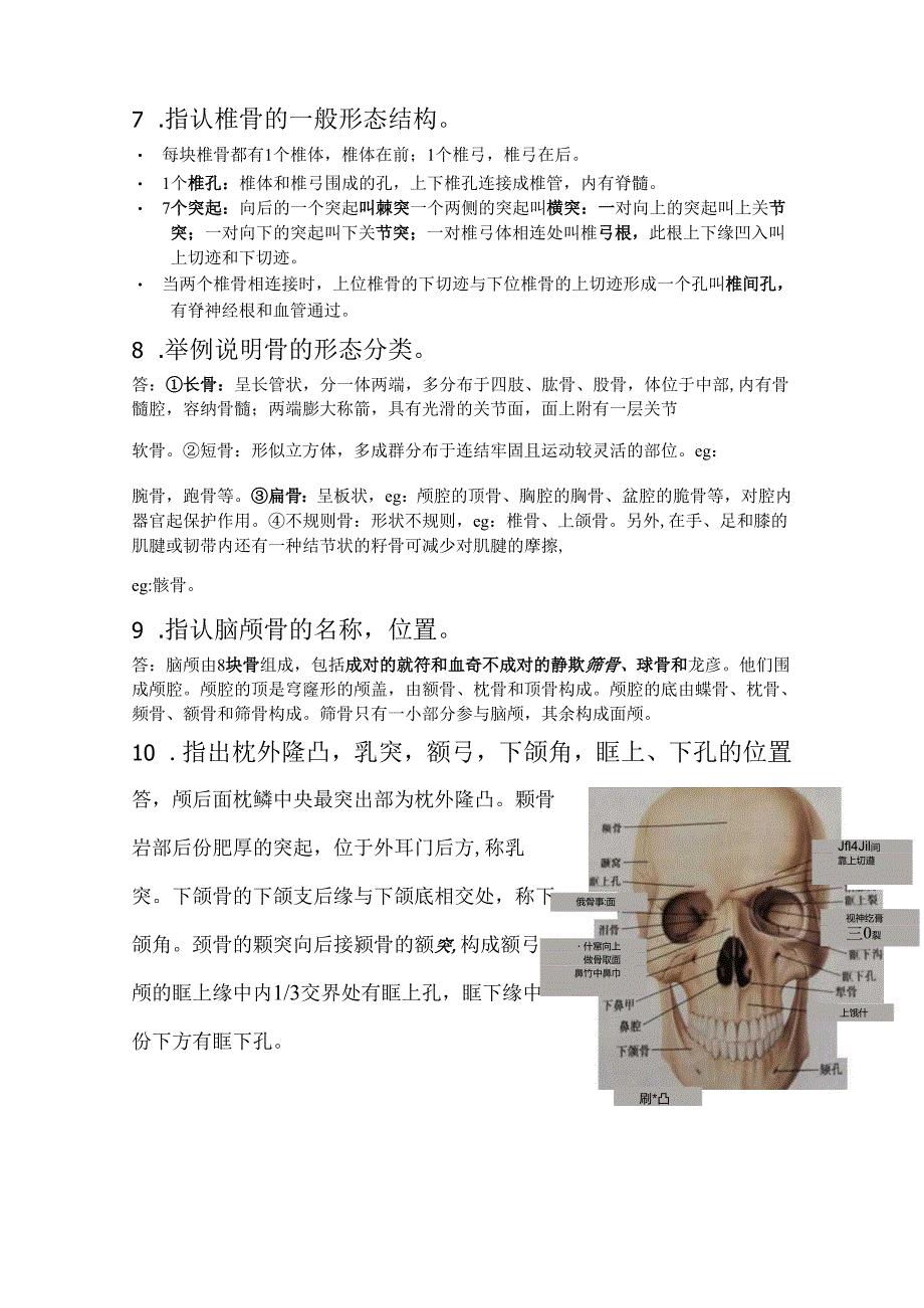 甘肃医学院解剖标本考试（含答案）.docx_第3页