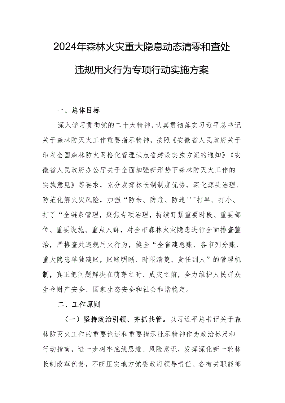 2024年森林火灾重大隐息动态清零和查处违规用火行为专项行动实施方案.docx_第1页