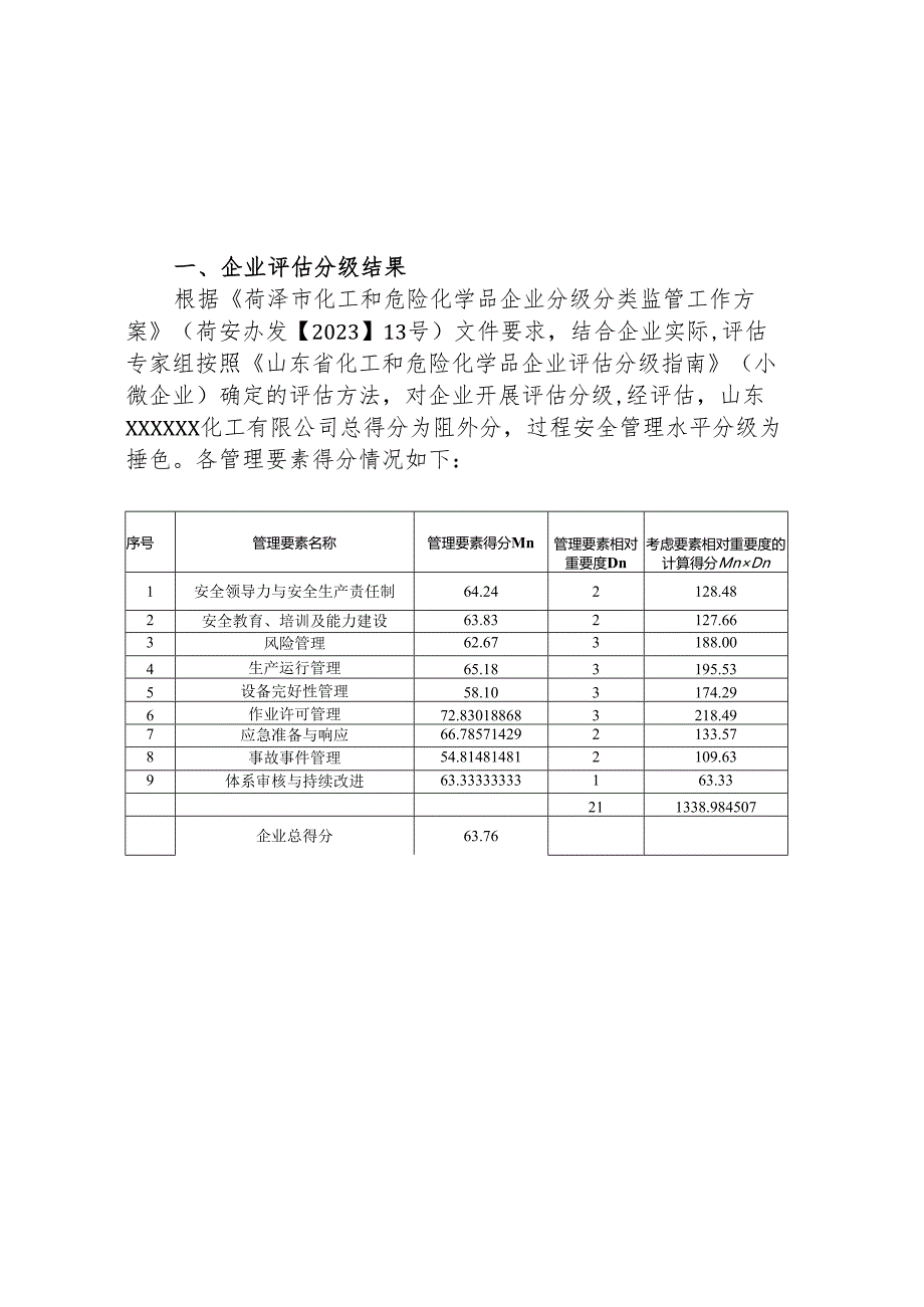 山东危化及化工企业分级报告（含评分、问题汇总）.docx_第2页