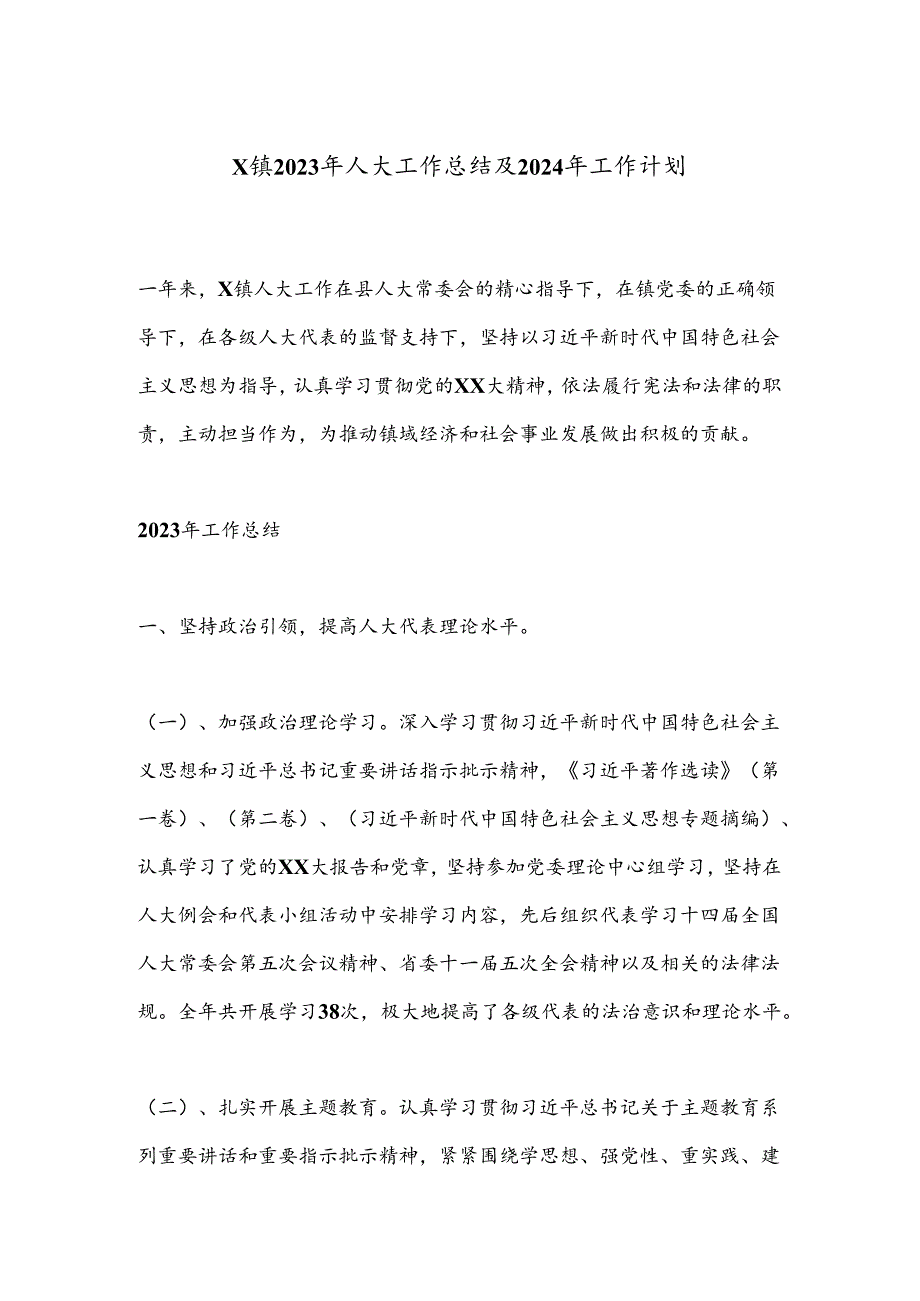 X镇2023年人大工作总结及2024年工作计划.docx_第1页