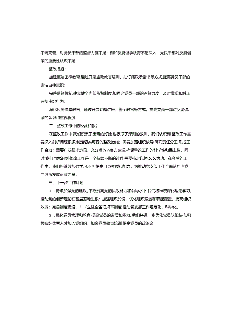 支部党建巡视整改工作报告、整改材料.docx_第3页