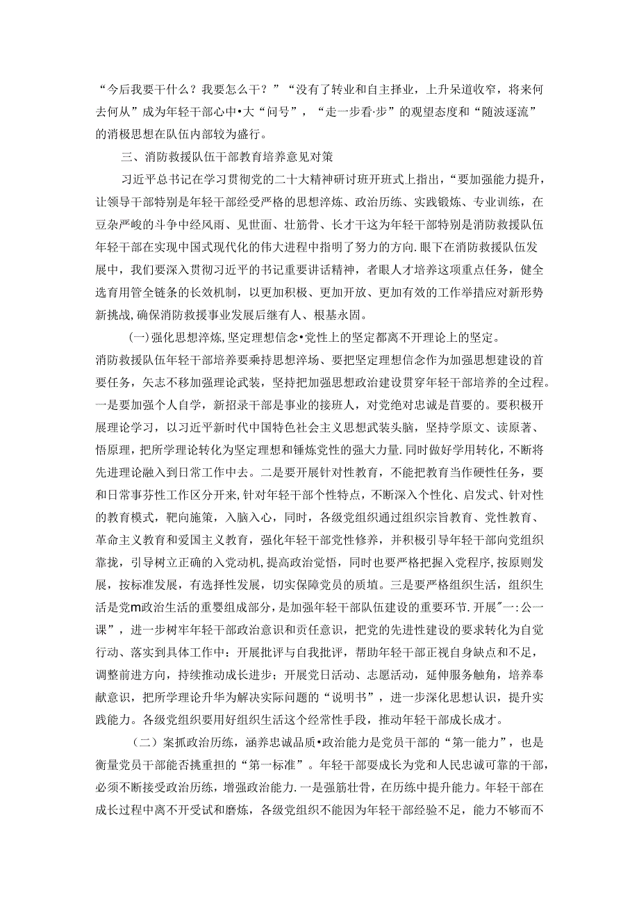 关于新时期消防救援队伍年轻干部教育培养的几点思考.docx_第3页