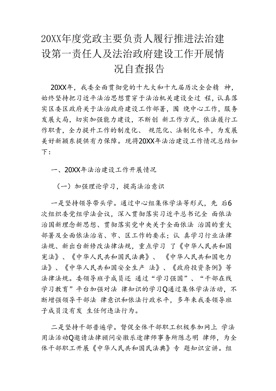 20XX年度党政主要负责人履行推进法治建设第一责任人及法治政府建设工作开展情况自查报告.docx_第1页