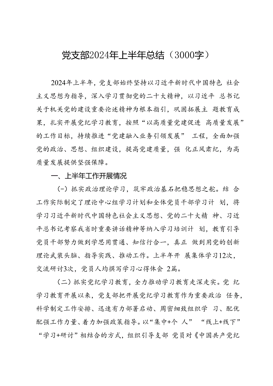 专项总结∣2024年∣半年总结：党支部2024年上半年总结（3000字）.docx_第1页