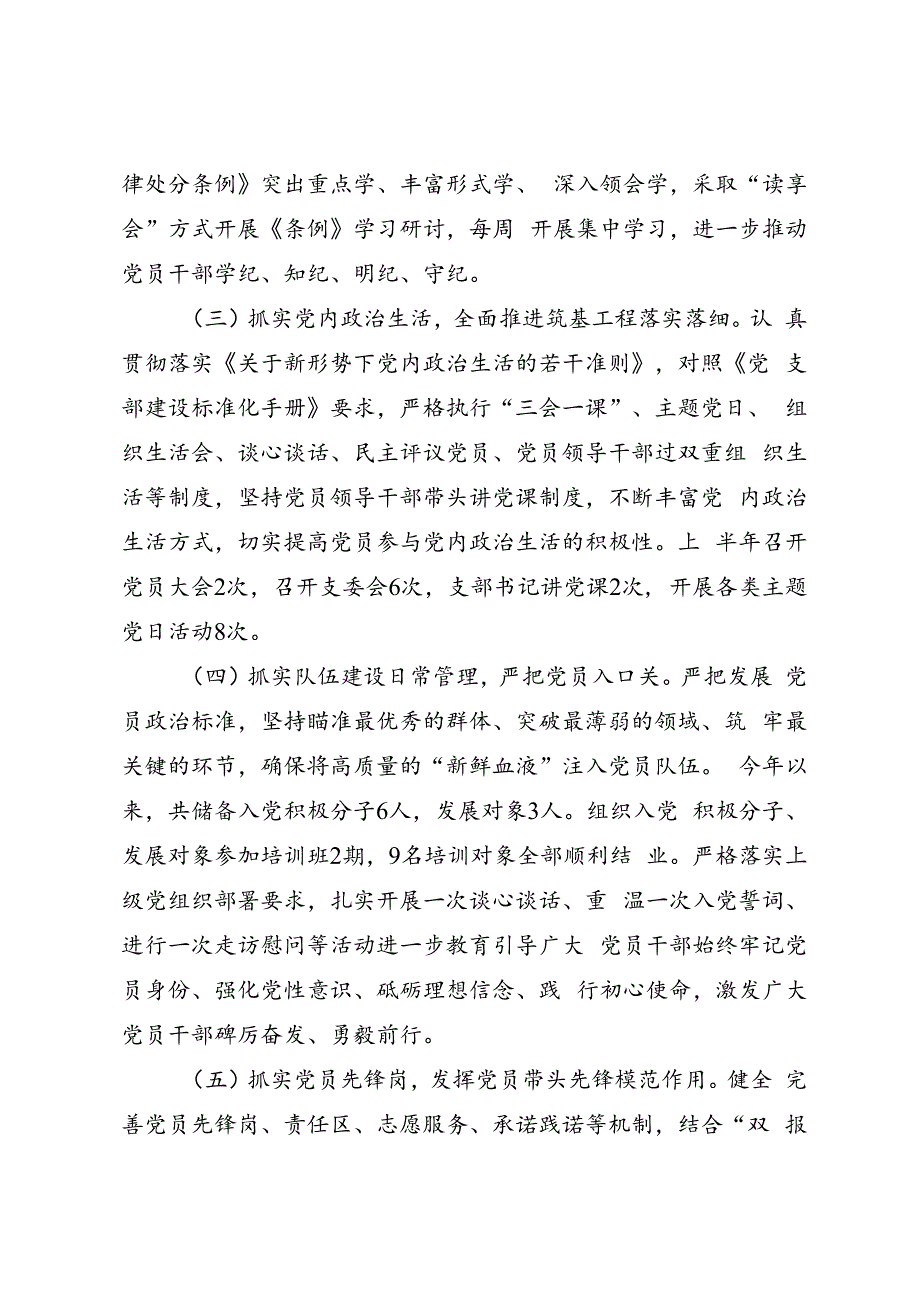 专项总结∣2024年∣半年总结：党支部2024年上半年总结（3000字）.docx_第2页