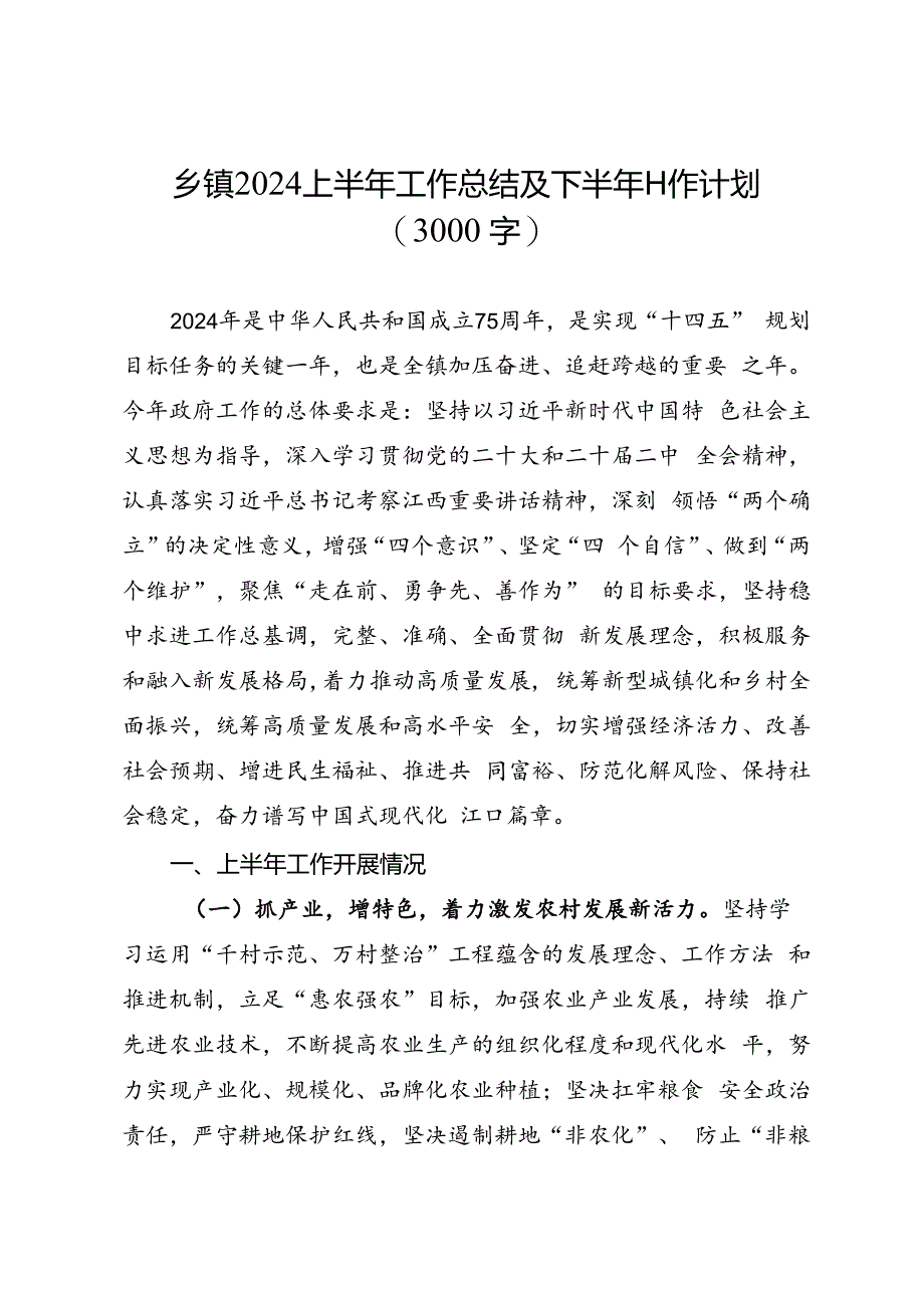 专项总结∣2024年∣半年总结：乡镇2024上半年工作总结及下半年工作计划（3000字）.docx_第1页