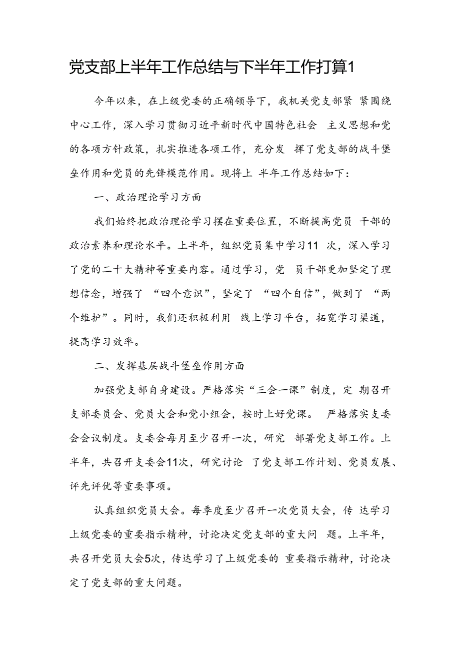 2024上半年党支部工作总结及下半年工作计划打算2篇.docx_第2页