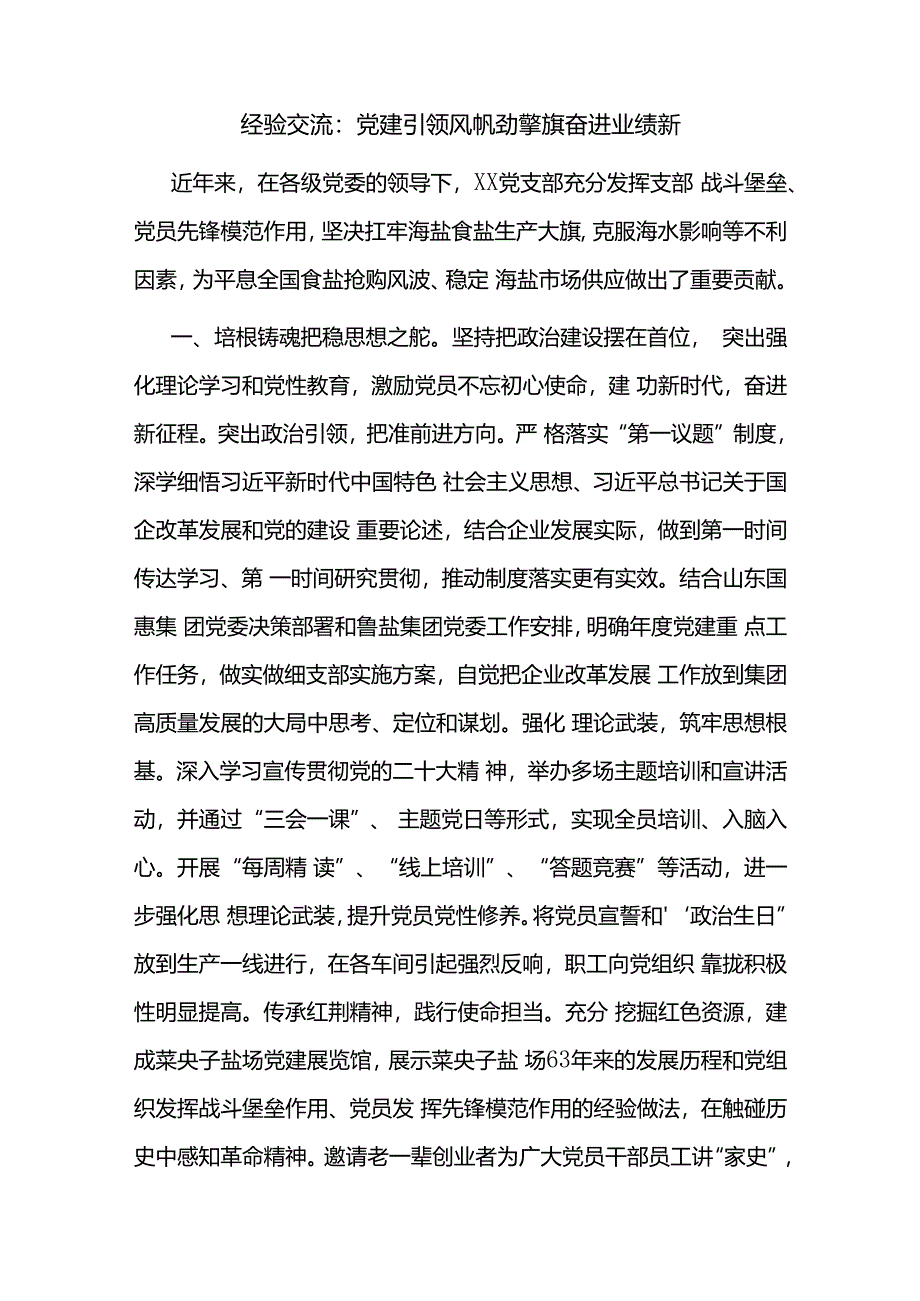 2024党支部党建经验交流材料3篇.docx_第2页