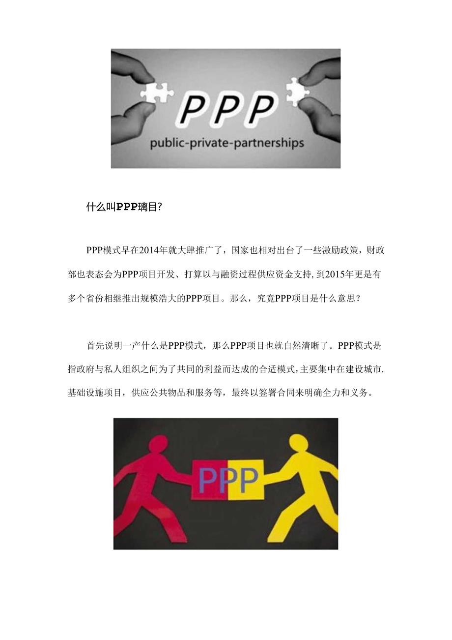 ppp项目深刻解读.docx_第3页