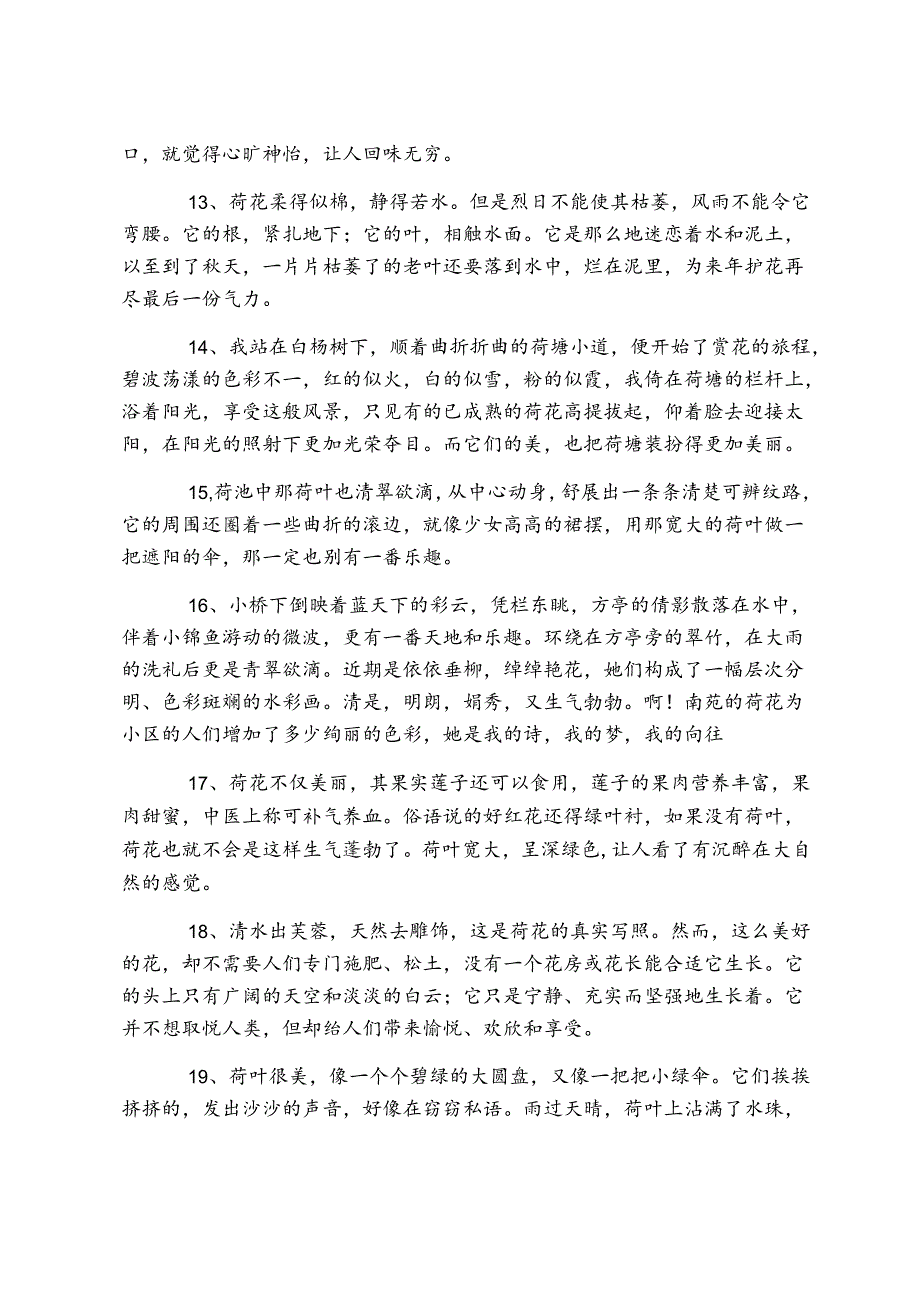 荷花手抄报 关于荷花手抄报的设计资料.docx_第3页