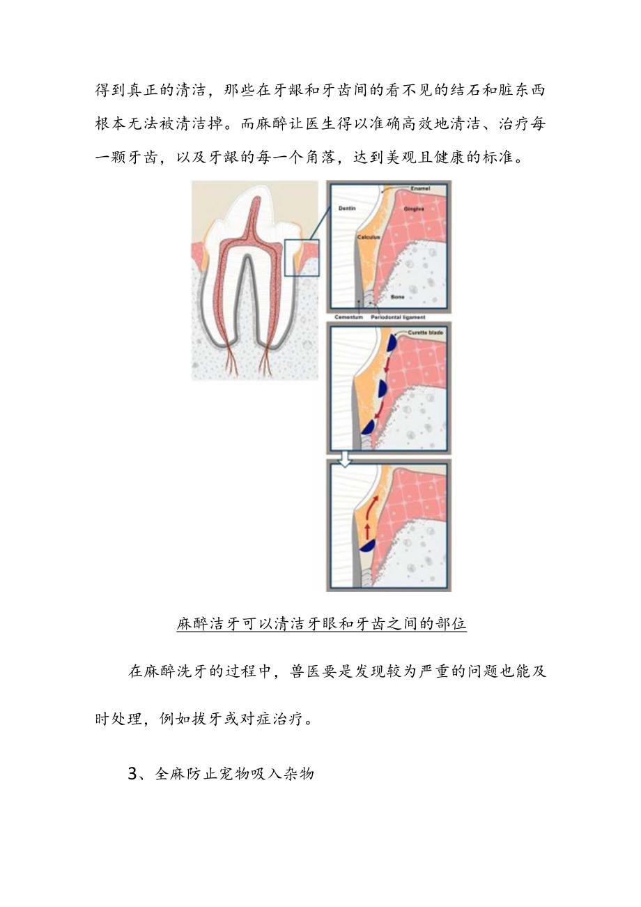 宠物洁牙麻醉方式及术后风险.docx_第3页