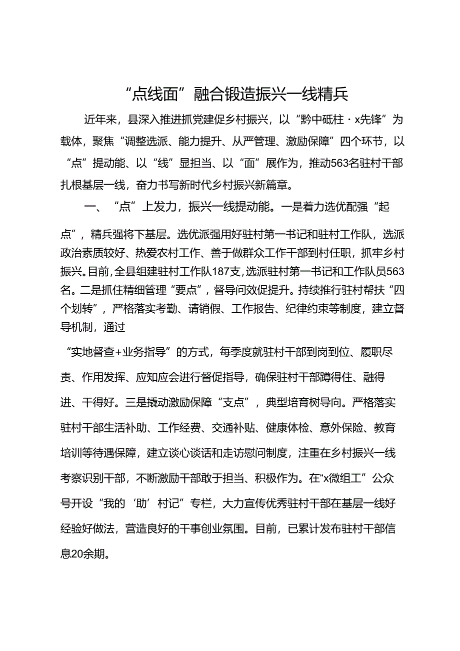 经验做法：“点线面”融合锻造振兴一线精兵.docx_第1页