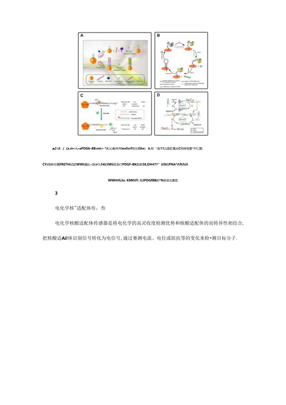 核酸适配体传感器在血小板衍生生长因子检测中应用进展.docx_第2页