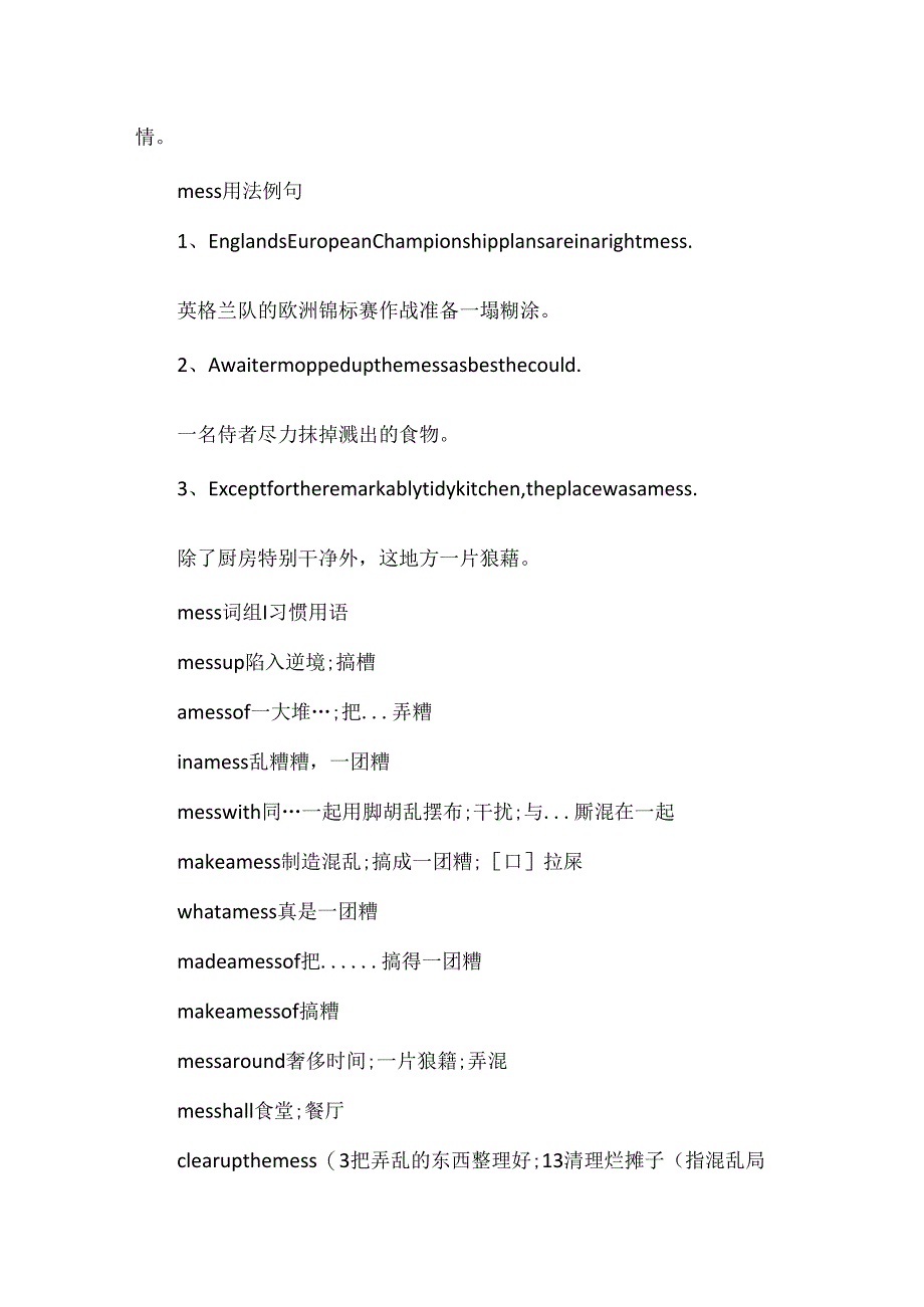 mess的意思用法总结.docx_第2页