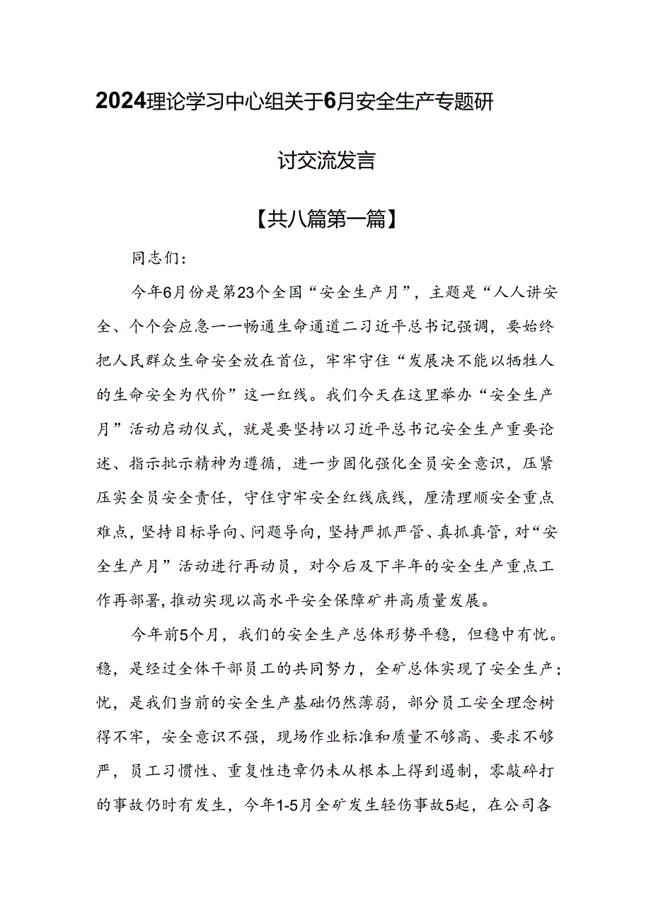 （8篇）2024理论学习中心组关于6月安全生产专题研讨交流发言.docx_第1页