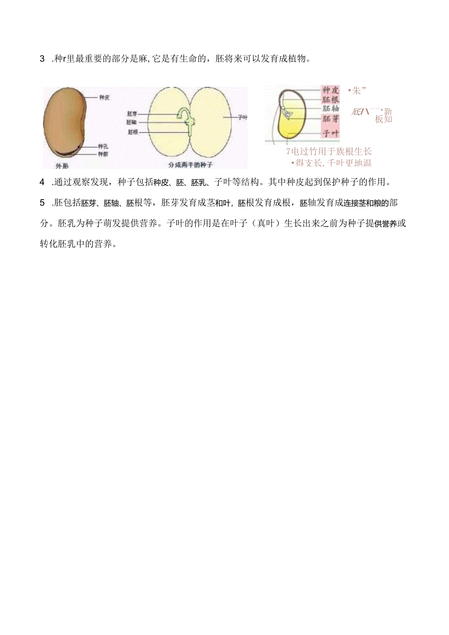 教科版科学四年级下册全册知识清单.docx_第2页