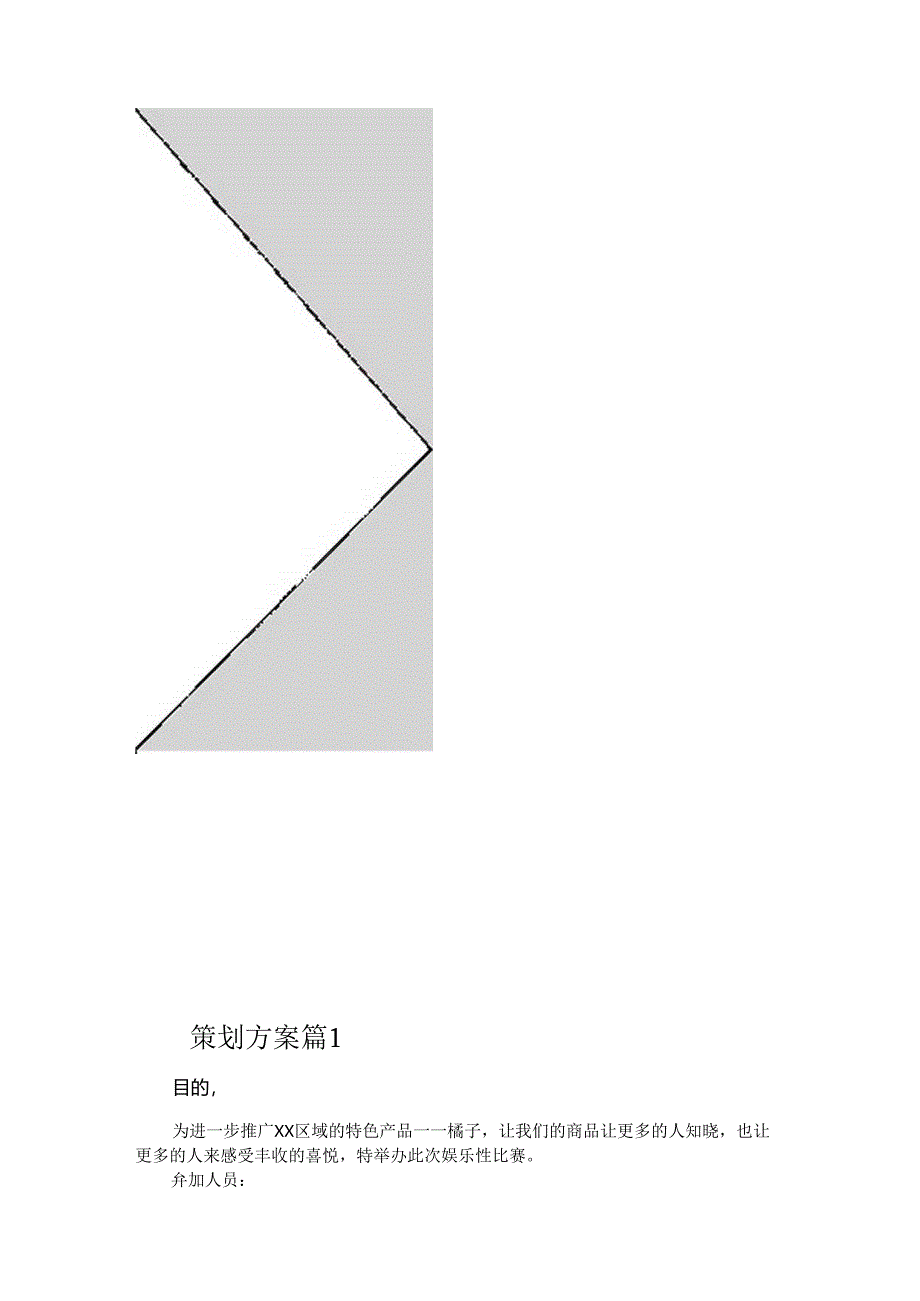 【推荐】策划方案（通用16篇）.docx_第2页