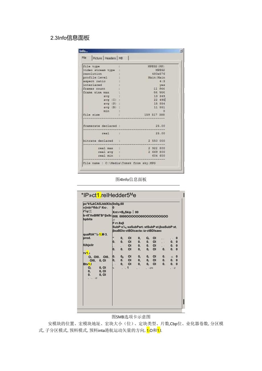 Elecard-StreamEye-UG.docx_第3页