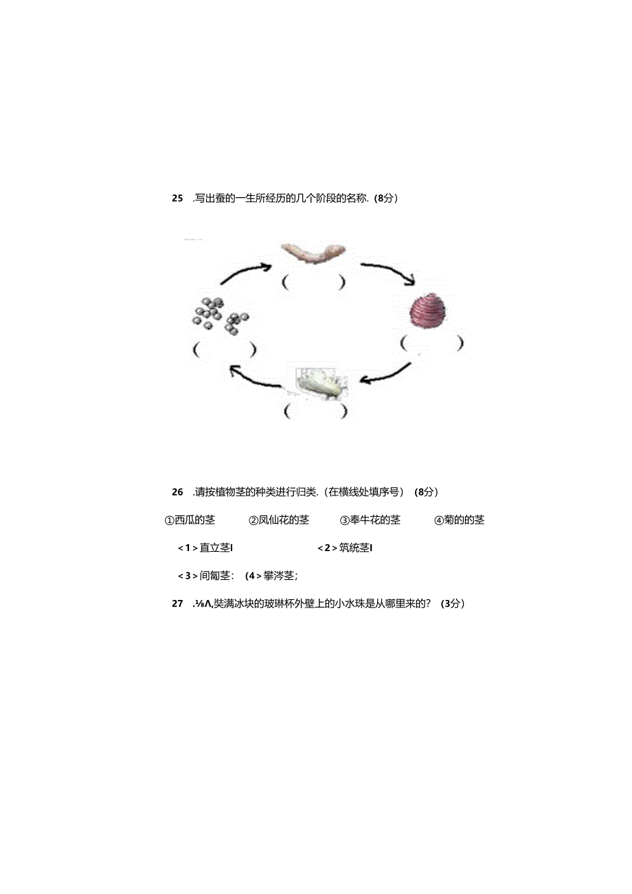 最新（教科版）小学三年级科学下册期末检测试卷（一）（附答案）.docx_第3页