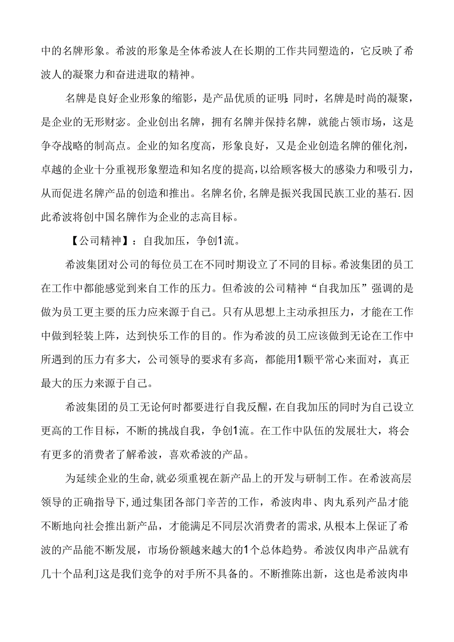 某集团高层管理手册(doc 38页).docx_第3页