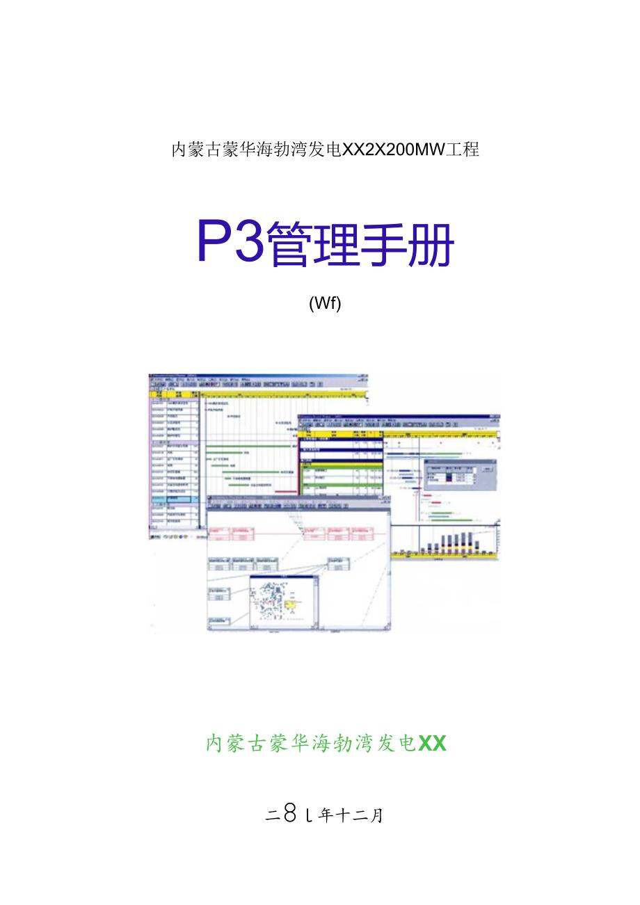 某集团发电工程P3管理手册.docx_第1页